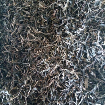 普洱茶特级