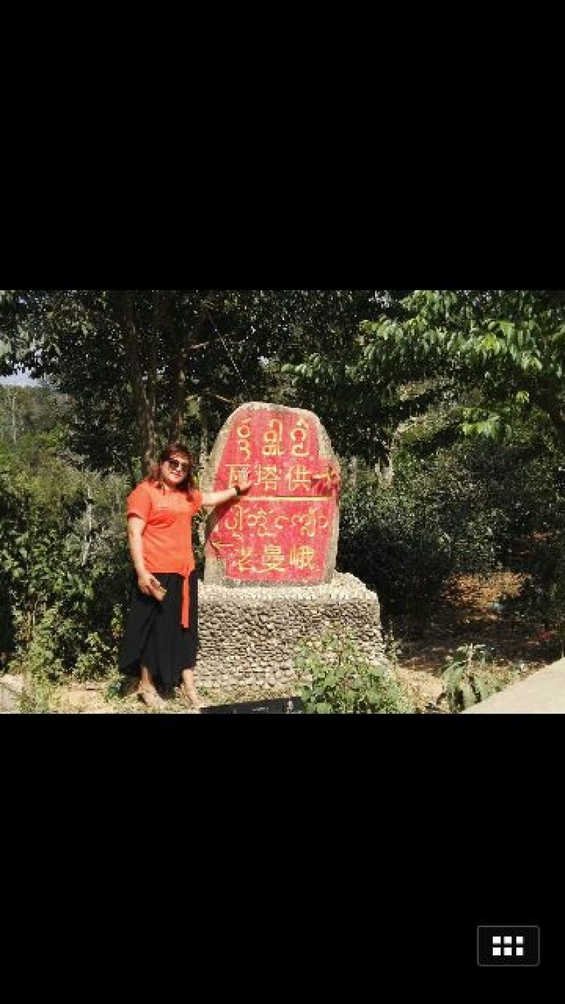 普洱茶特级