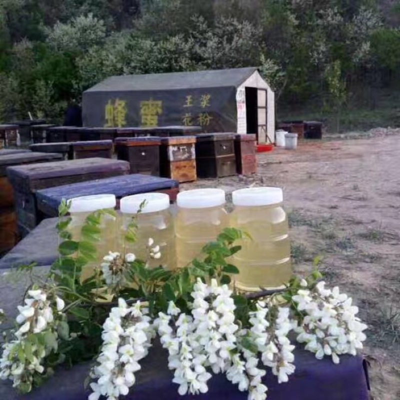 槐花蜜