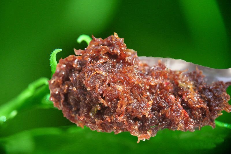 玫瑰酱
