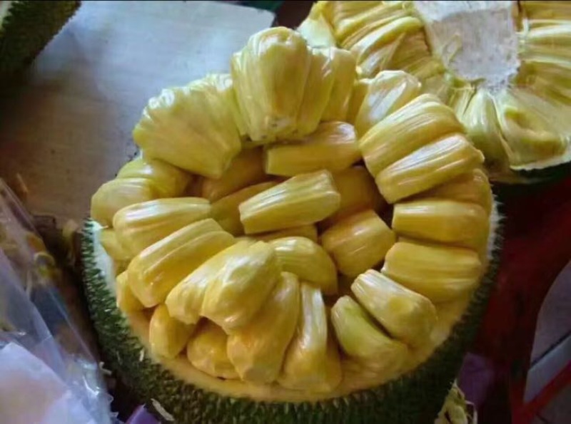 菠萝蜜