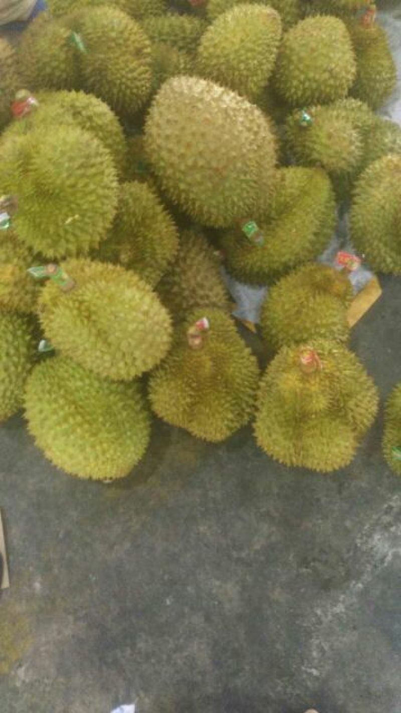 金枕头榴莲3~5斤