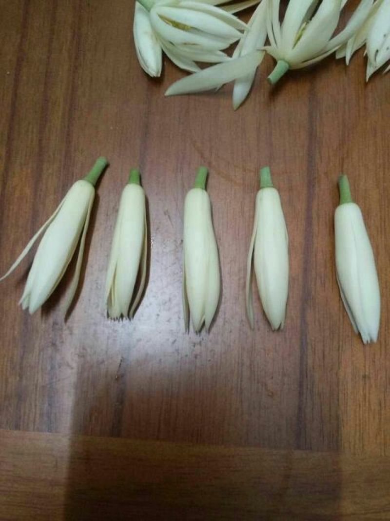 玉兰花