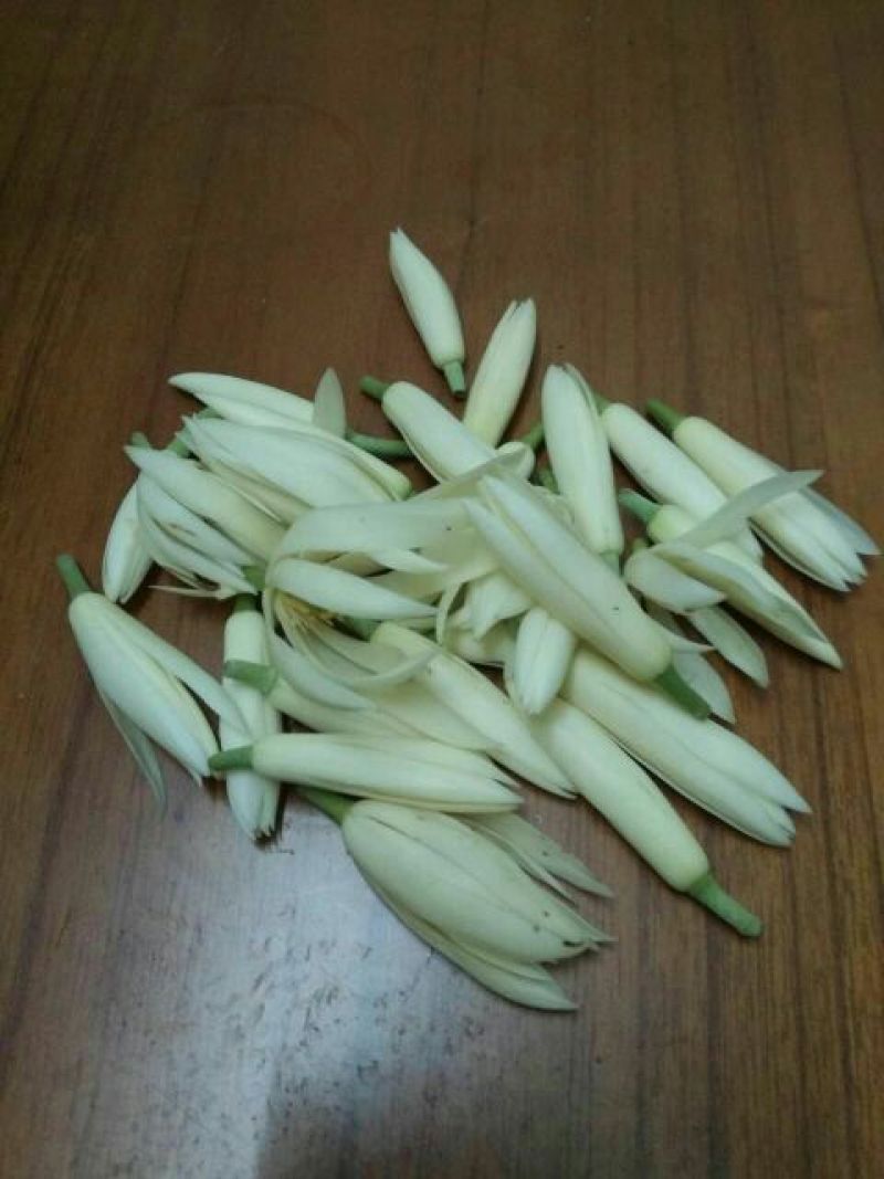 玉兰花