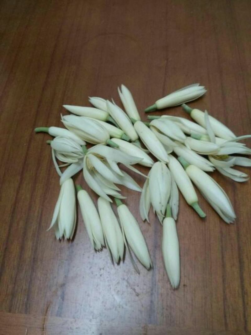 玉兰花