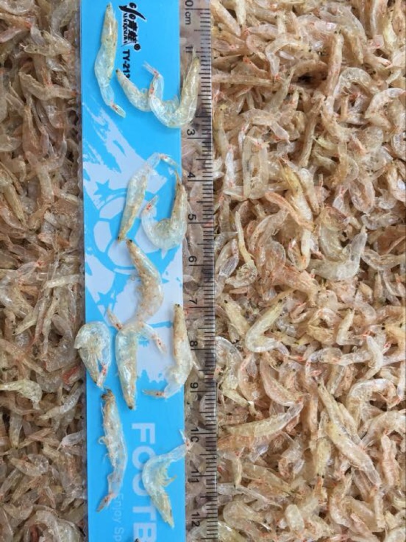 虾皮一级