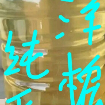 槐花蜜5斤
