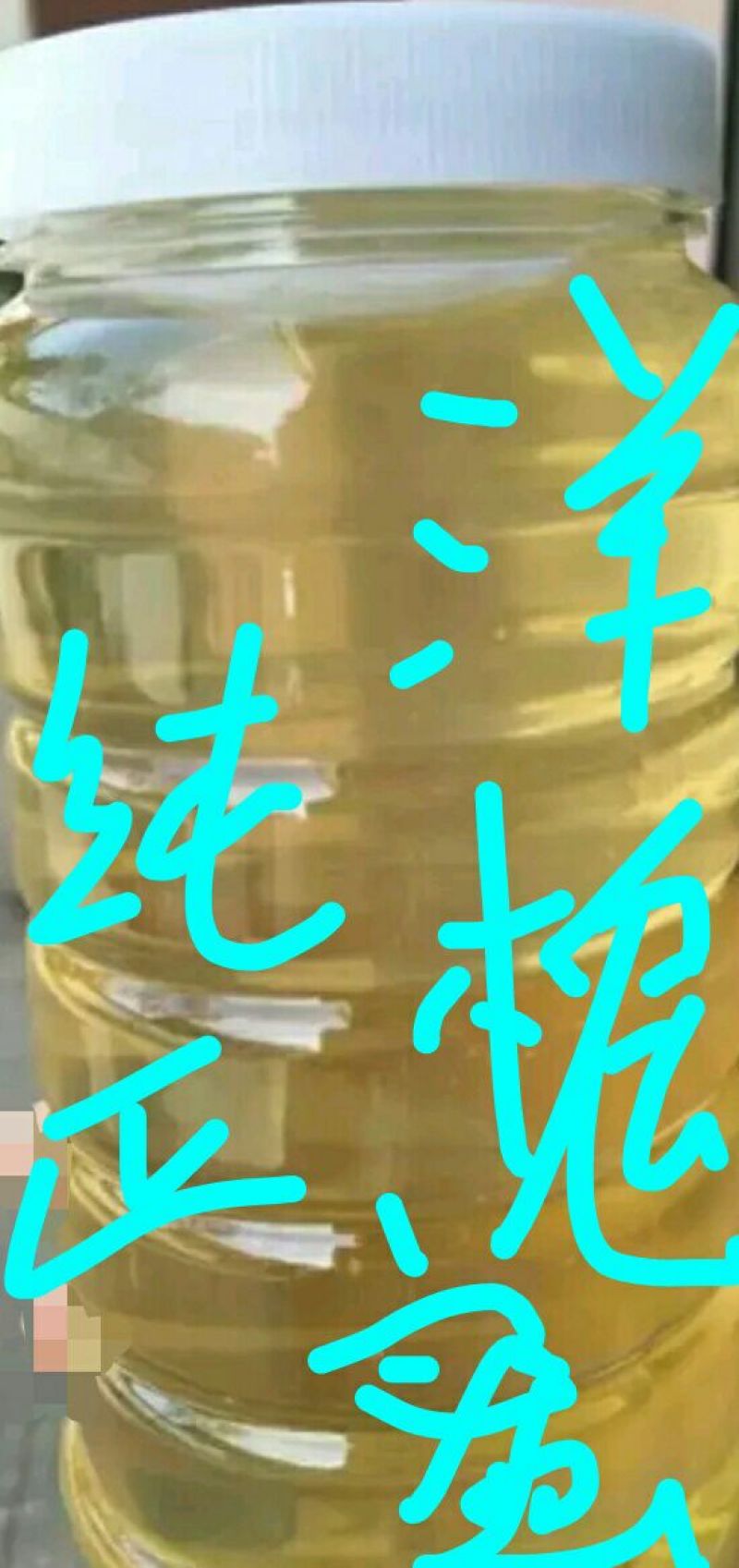 槐花蜜5斤