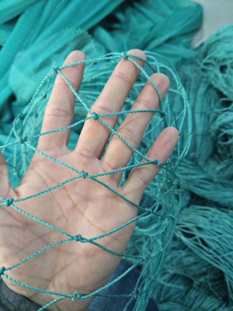 养殖网拉网网箱拦河网防鸟网