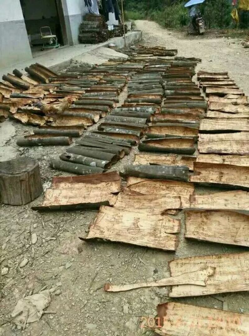 薄肉桂散装统货