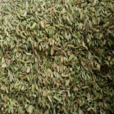 小茴香净货各种中药材批发质量保证