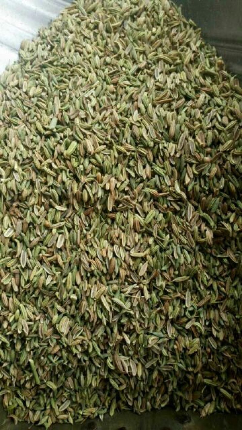 小茴香净货各种中药材批发质量保证