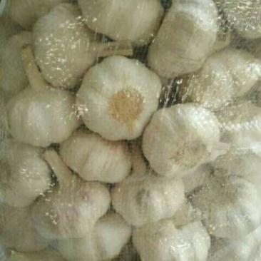 大蒜混级统货干蒜
