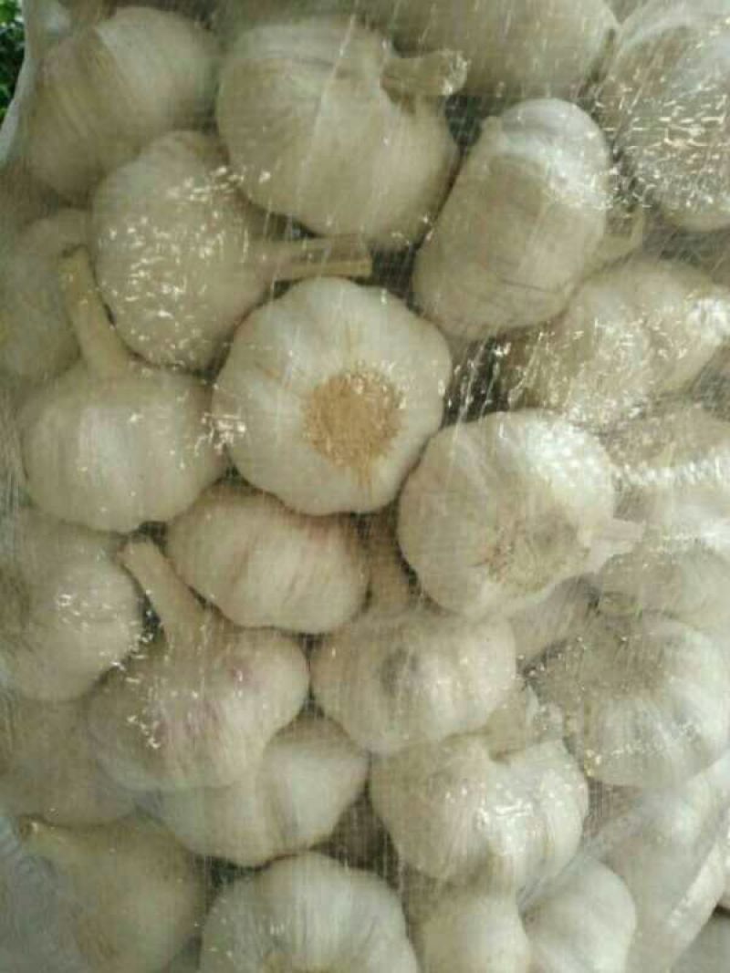 大蒜混级统货干蒜