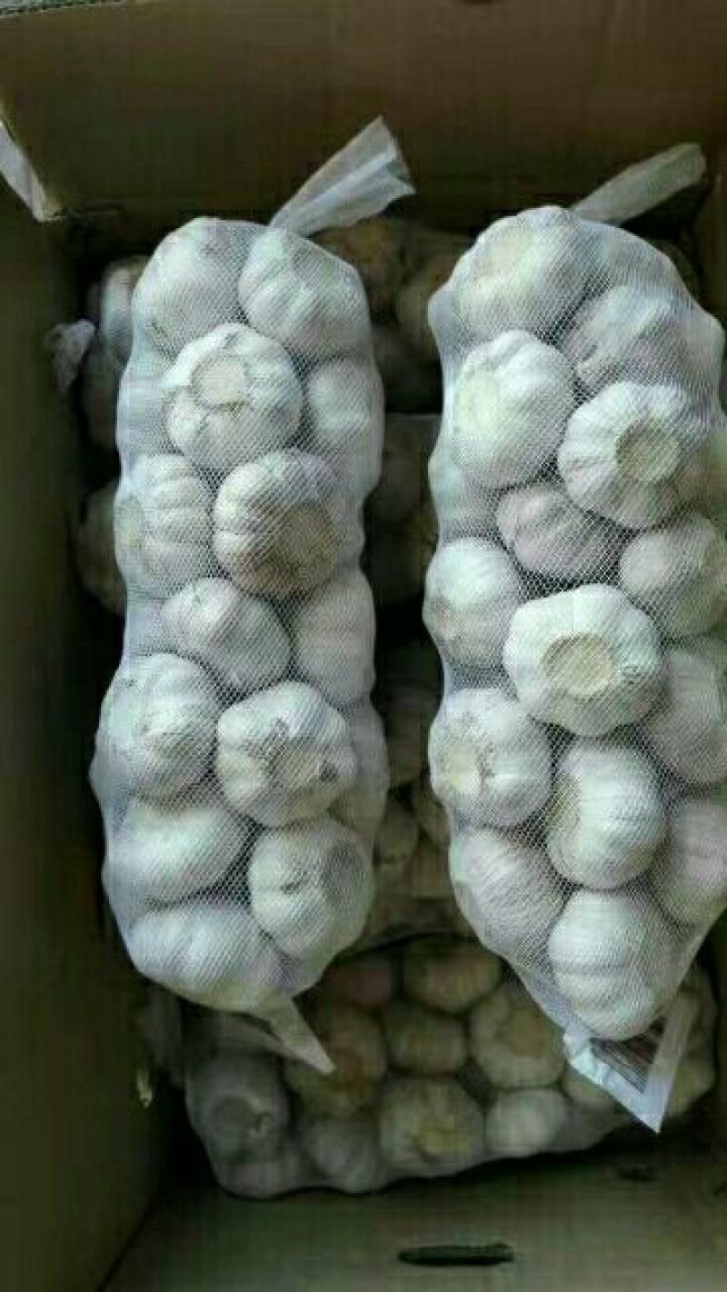 大蒜混级统货干蒜