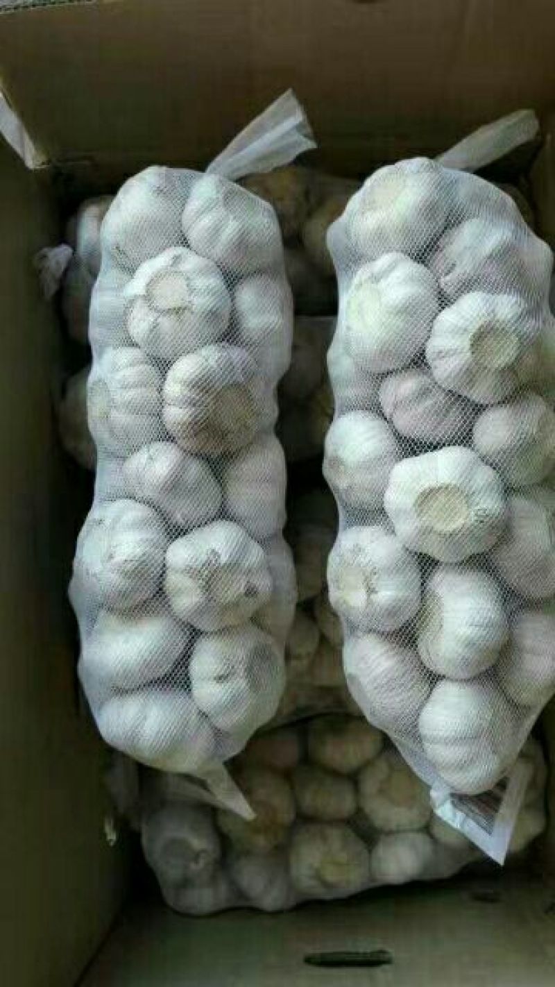 大蒜混级统货干蒜
