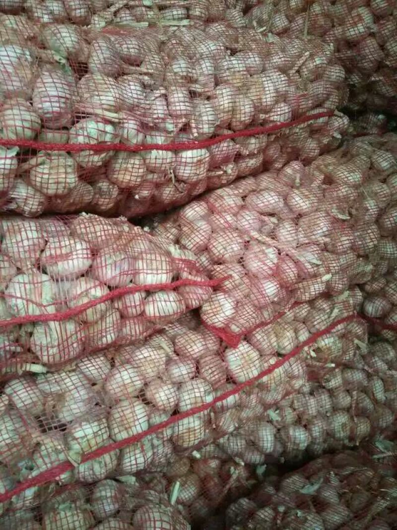 大蒜混级统货干蒜