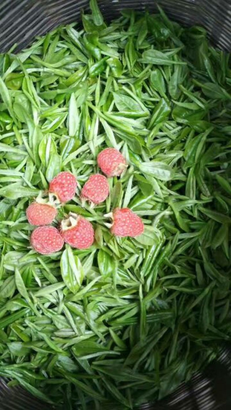 四川眉山绿茶花茶二级