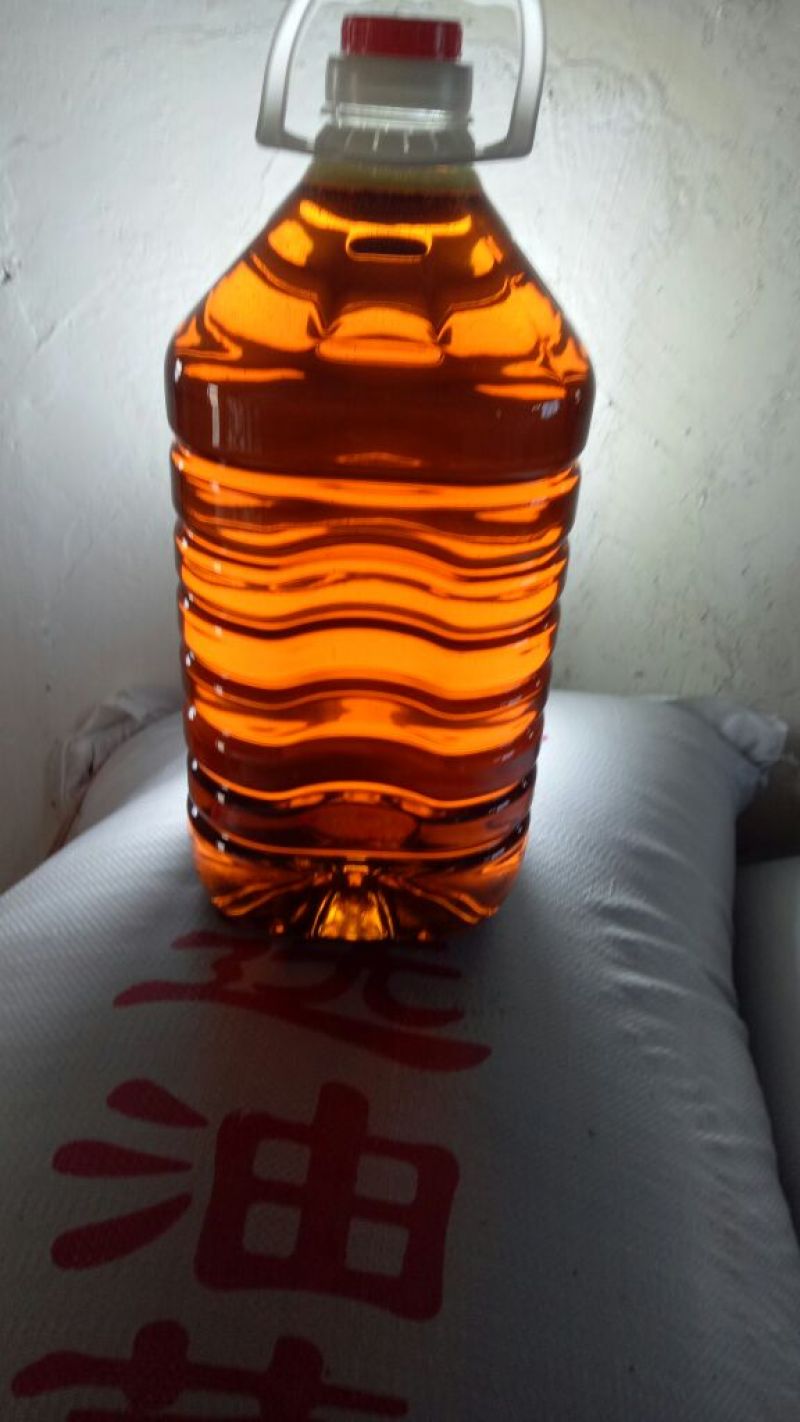 油菜籽5
