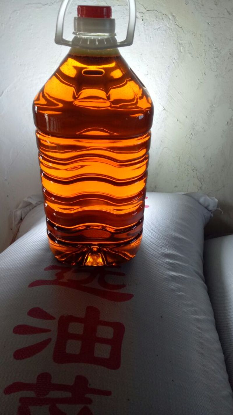 油菜籽5