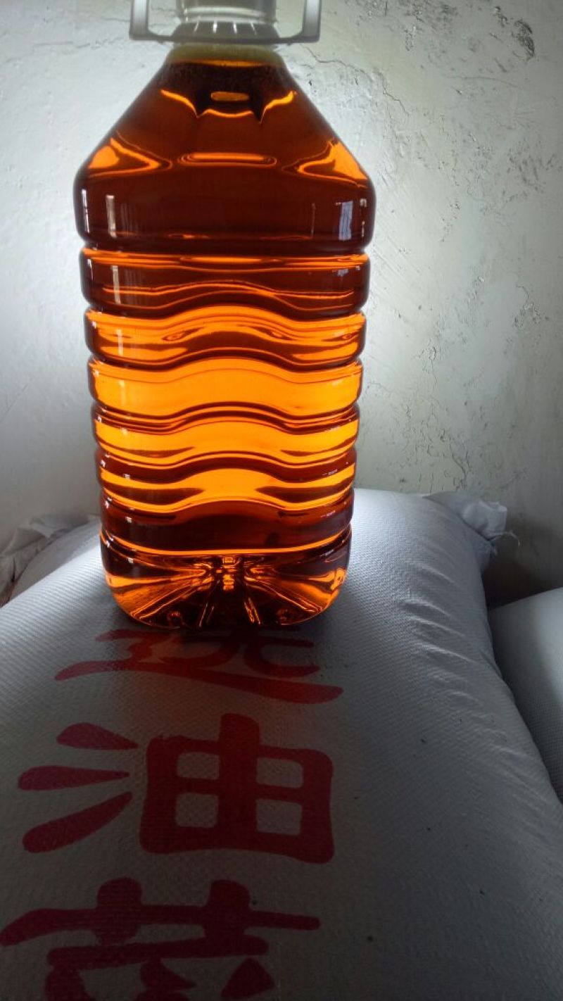 油菜籽5