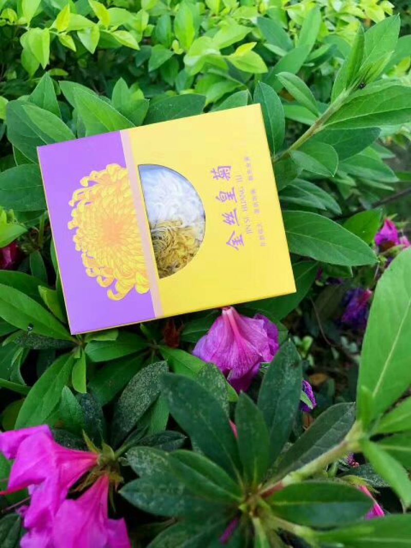 菊花茶特级
