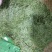 龙井茶一级（杭州龙井路，滿觉陇）提特级名茶