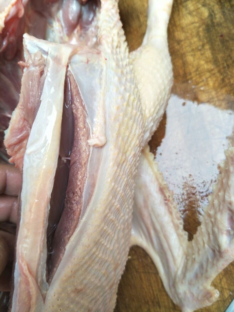 鸭肉