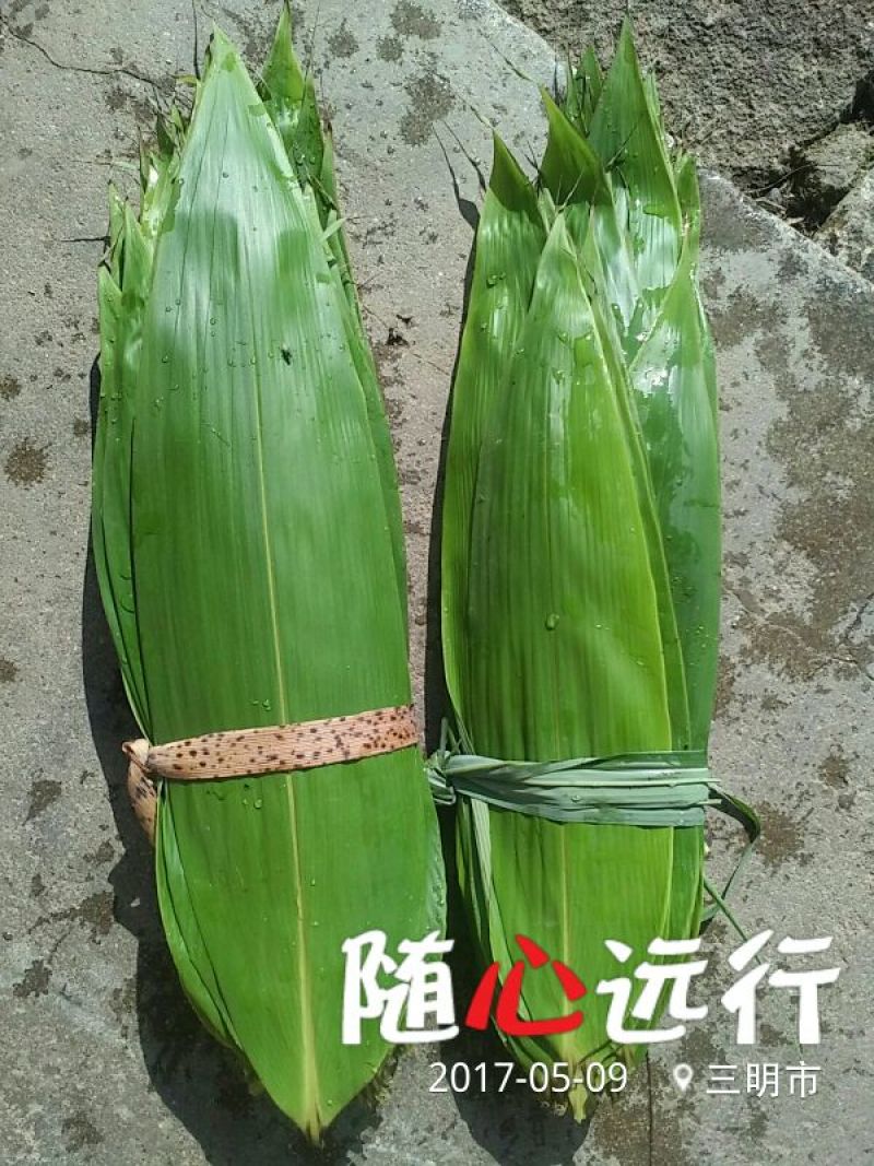 粽叶