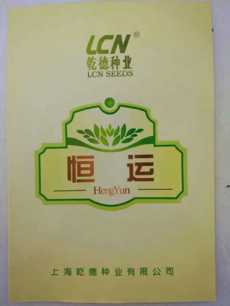 恒运西红柿种子1000粒/袋抗TY亮粉色大果型产量高