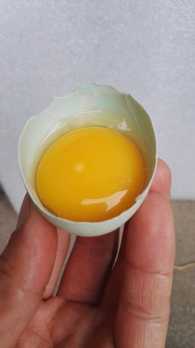 乌鸡蛋食用50~60g