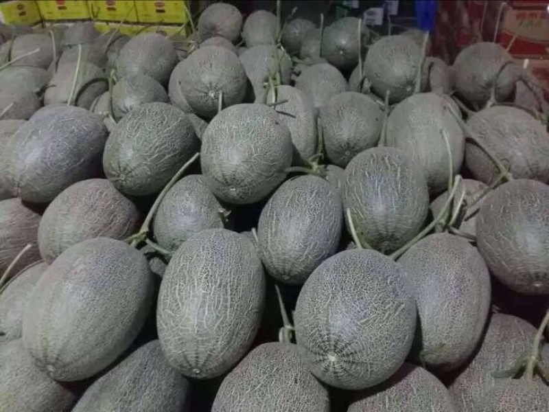 西州蜜瓜，小蜜二十五，都之果，耀龙等