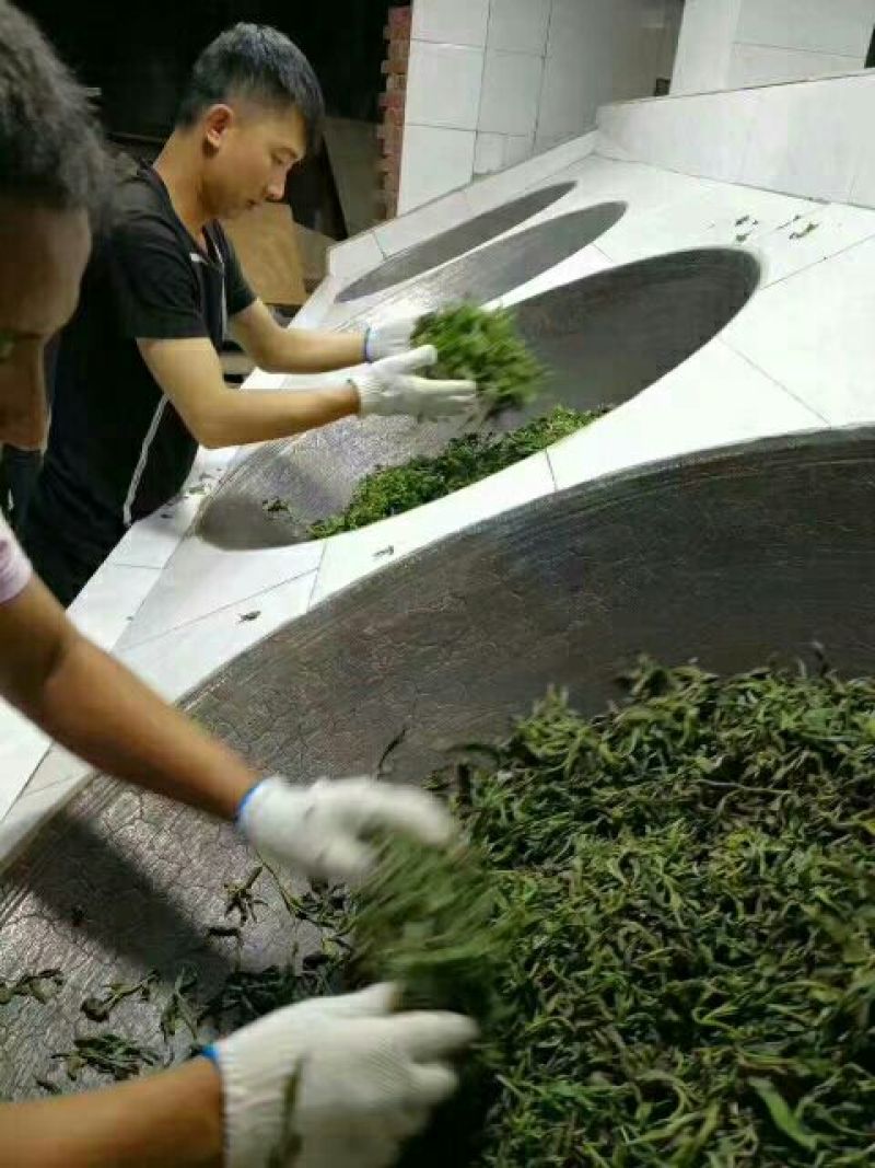 普洱茶一级