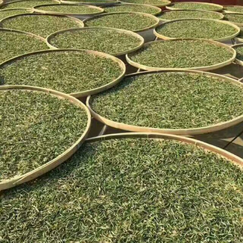 普洱茶一级