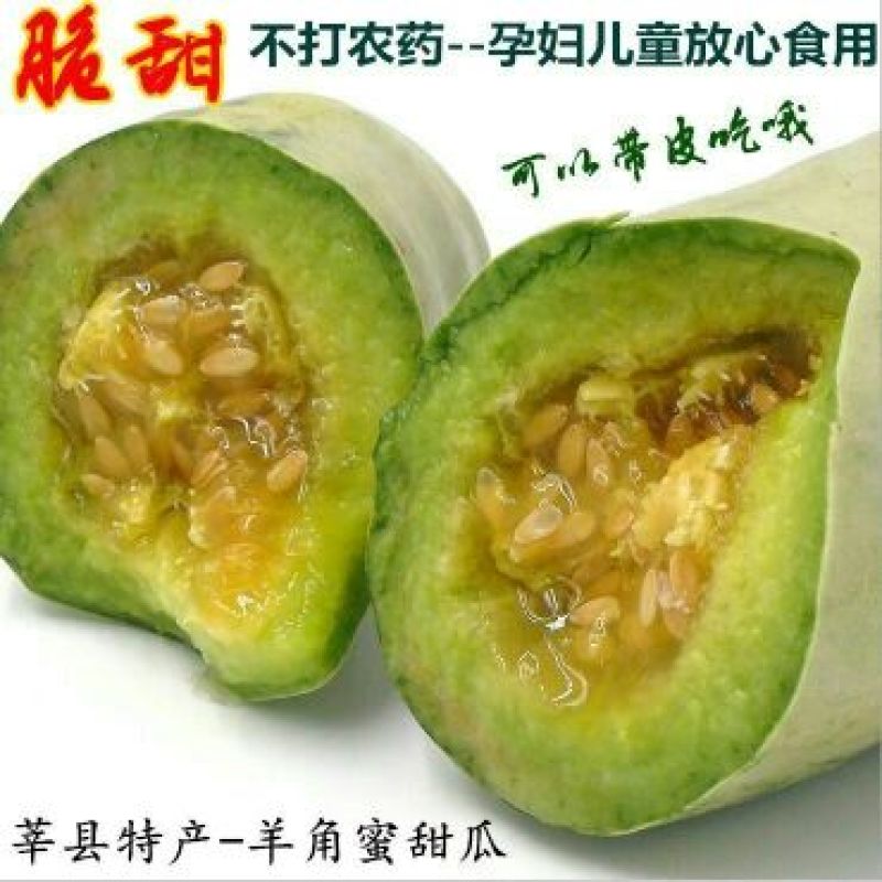 61甜瓜通货0.5斤以上大量上市，欢迎大家前来选购