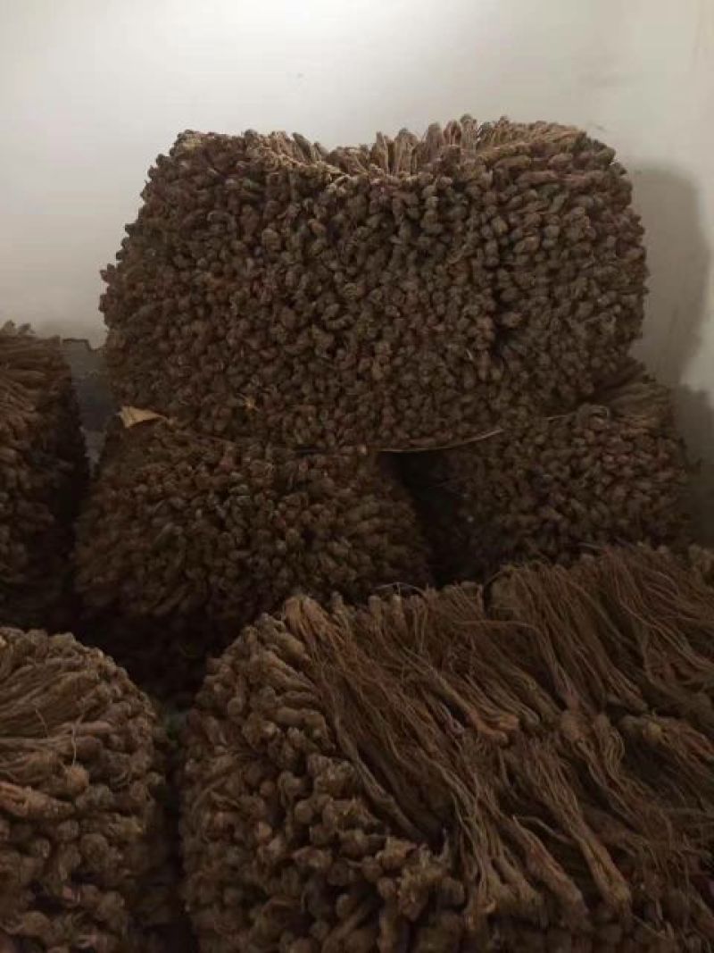 甘肃当归，产地直销货源充足，支持零售批发可来电详细沟通