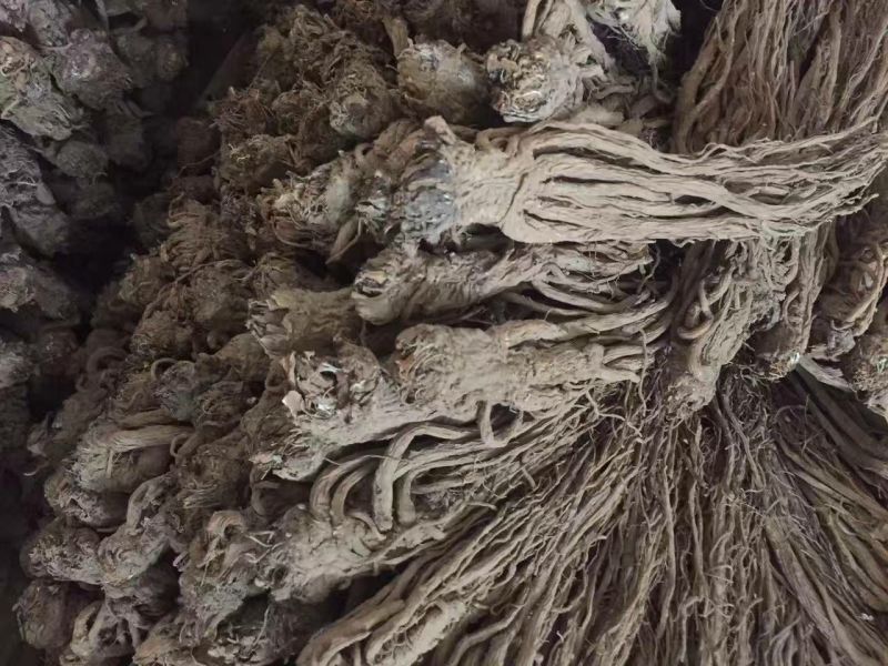 甘肃当归，产地直销货源充足，支持零售批发可来电详细沟通