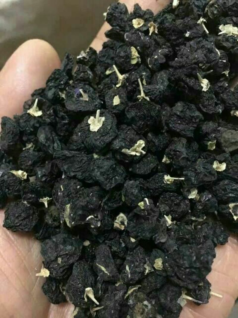 黑枸杞干货头茬