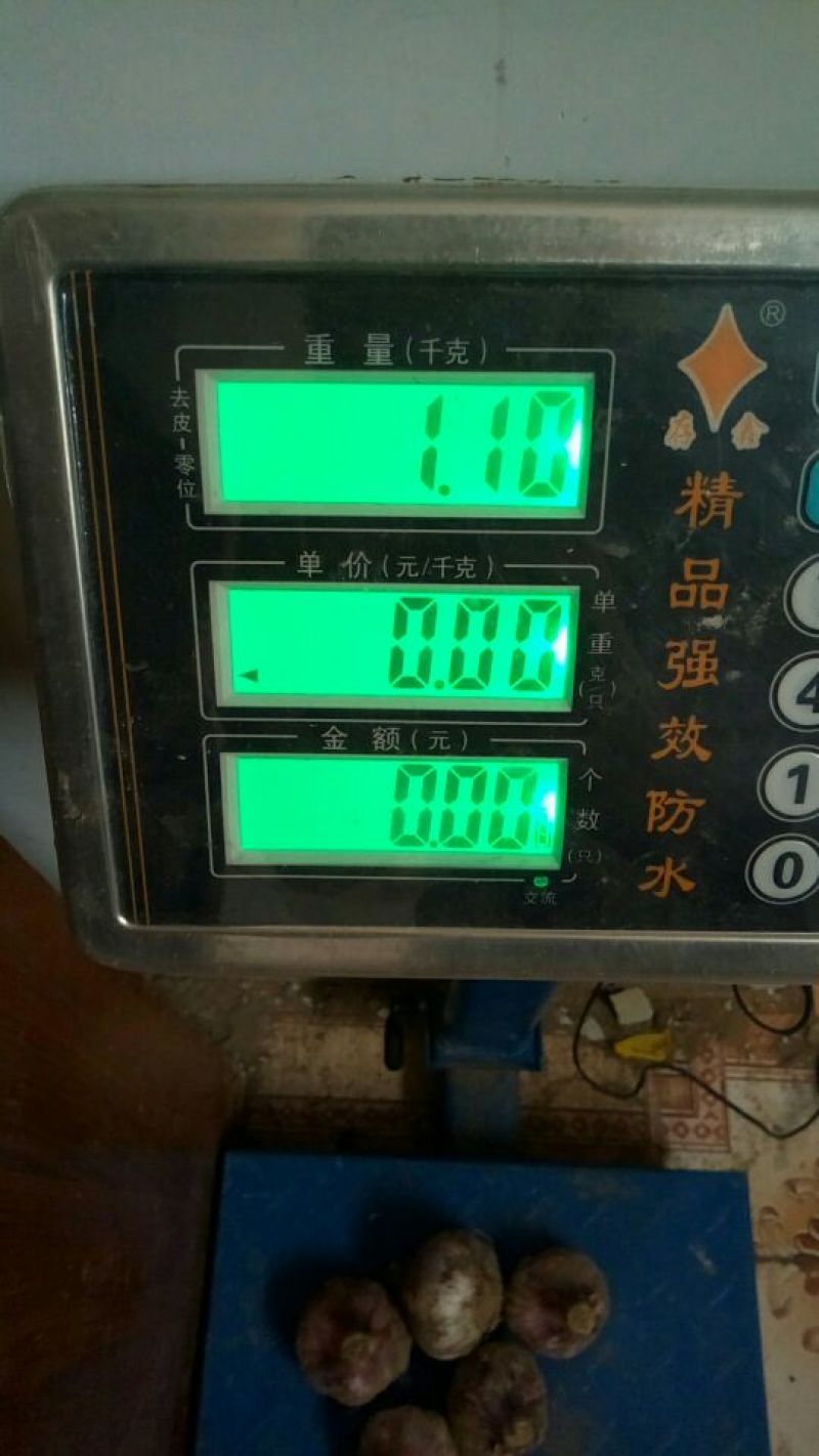 大蒜4.5cm鲜蒜