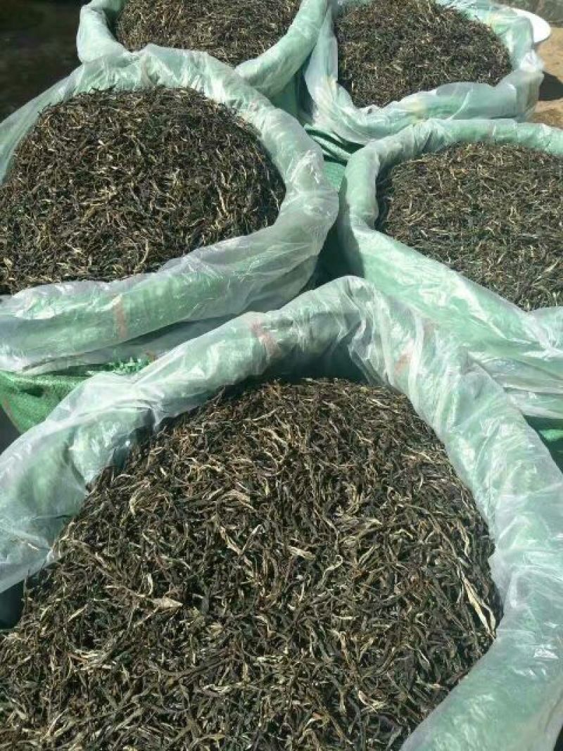 本山茶特级