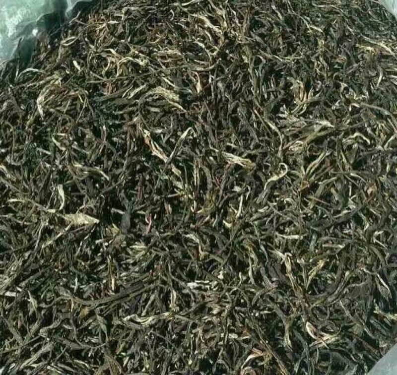 本山茶特级