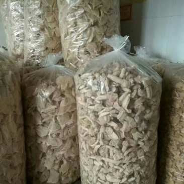 长裙竹荪一级