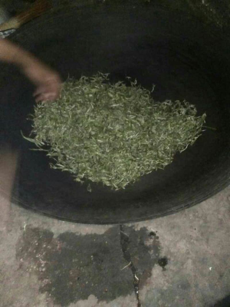 古树茶一级