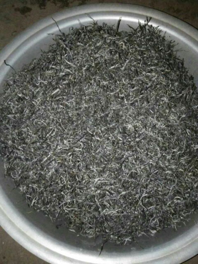 古树茶一级