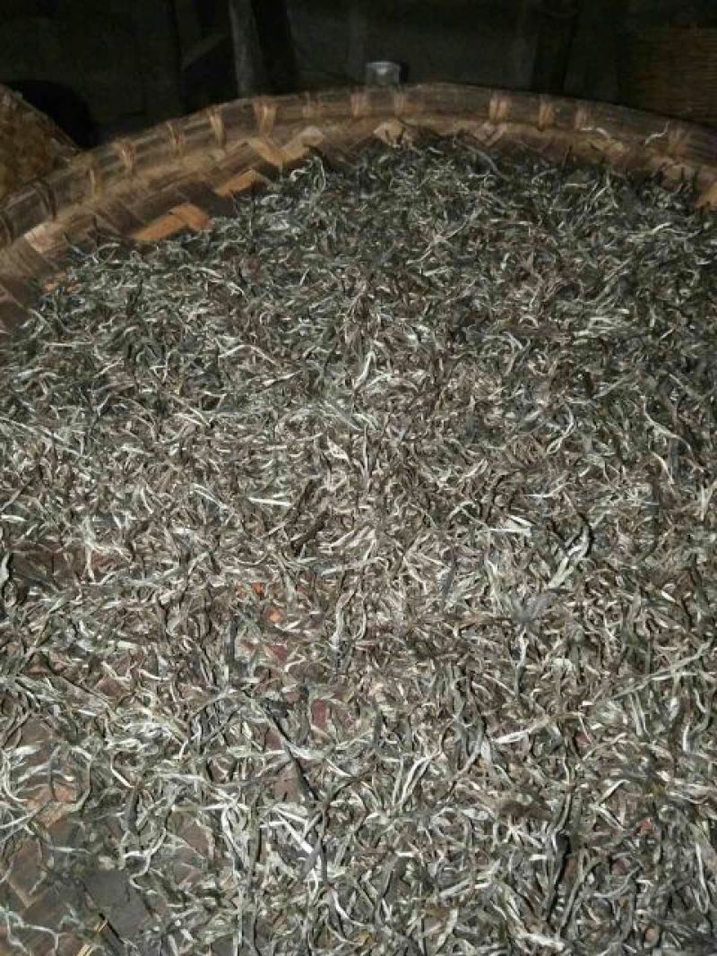 古树茶一级