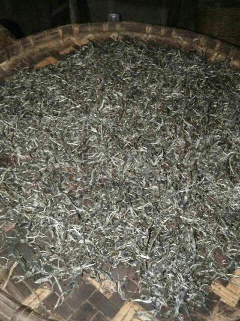 古树茶一级