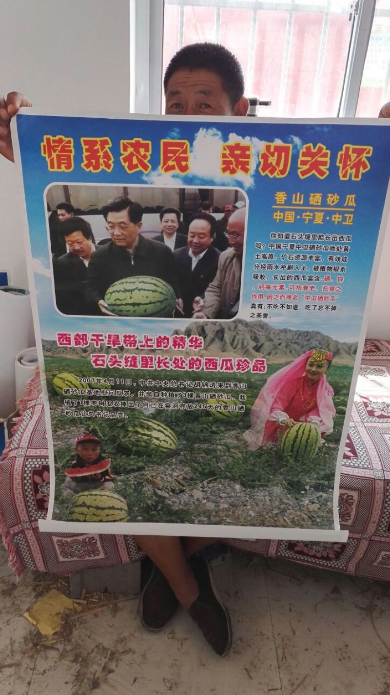 富硒西瓜金城5号金花1号