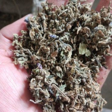 芫花中药专营品质保证量大从优