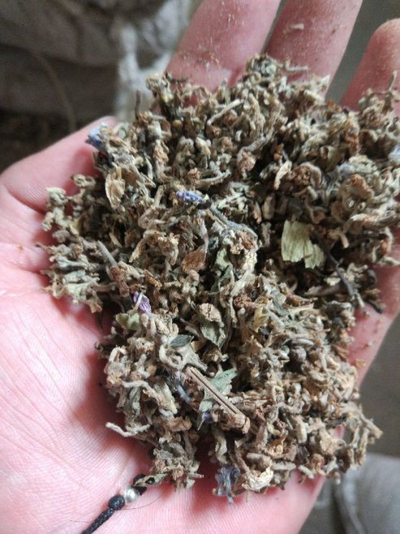 芫花中药专营品质保证量大从优