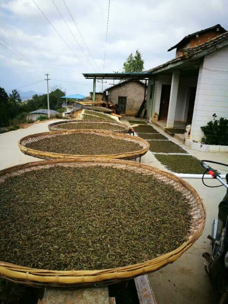 普洱茶一级